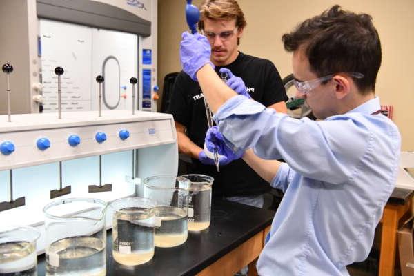 Two students using pipette to measure liquids into a line of beakers