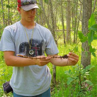 Student with a branch